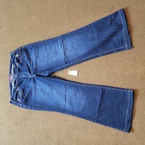 7. Baby Phat Jean's Plus Size 18